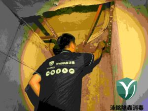 【南投除白蟻推薦】別等木地板變空心粉末!老屋、山區必看防蟻攻略,這家竟有5年保固? 2 南投除白蟻推薦案例