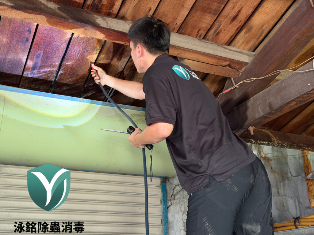 彰化除白蟻案例