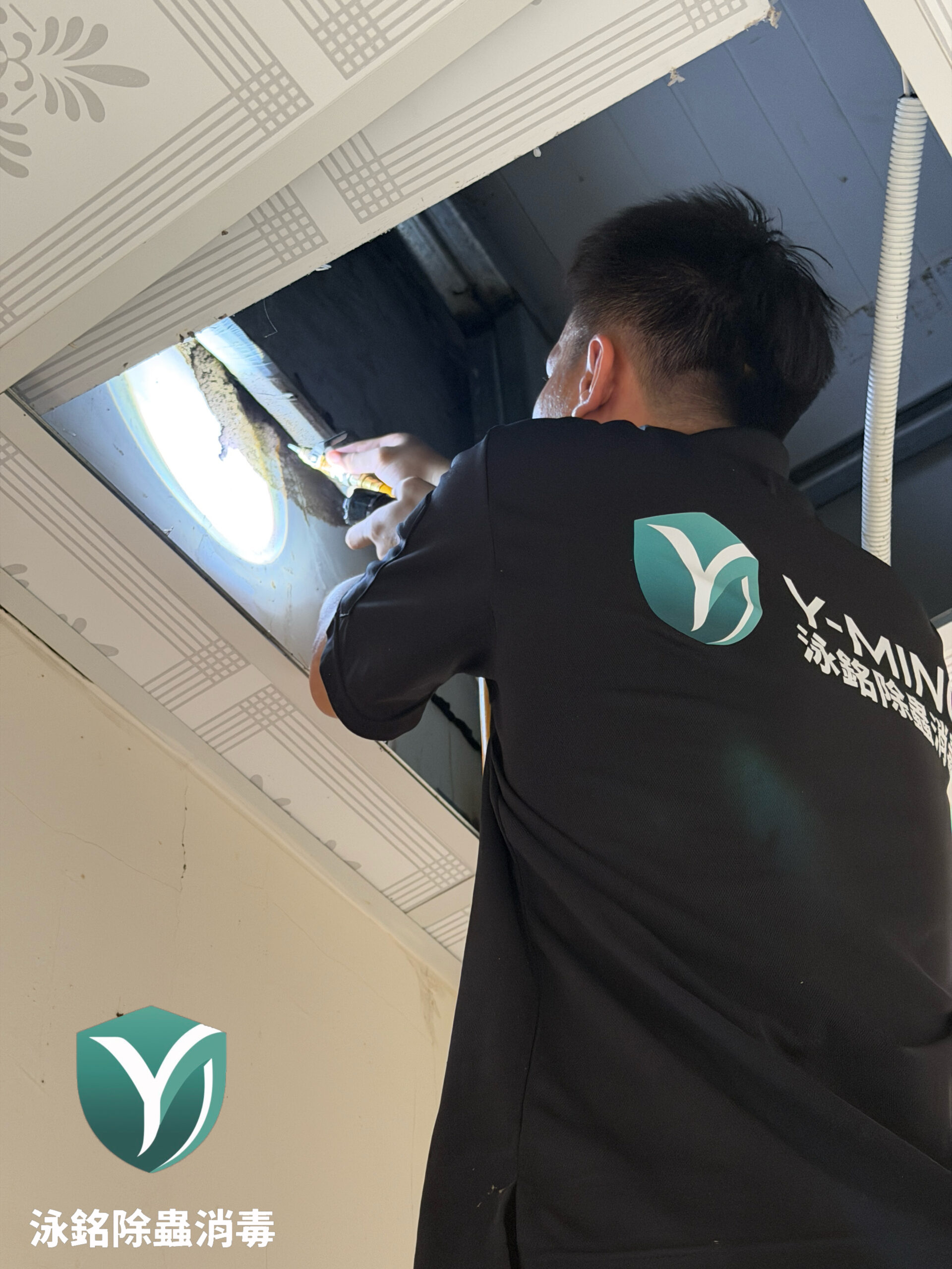 嘉義除白蟻推薦|自己亂噴藥反而更慘!口碑推薦團隊,免費勘查免花冤枉錢 2 泳銘除蟲消毒 實際案例