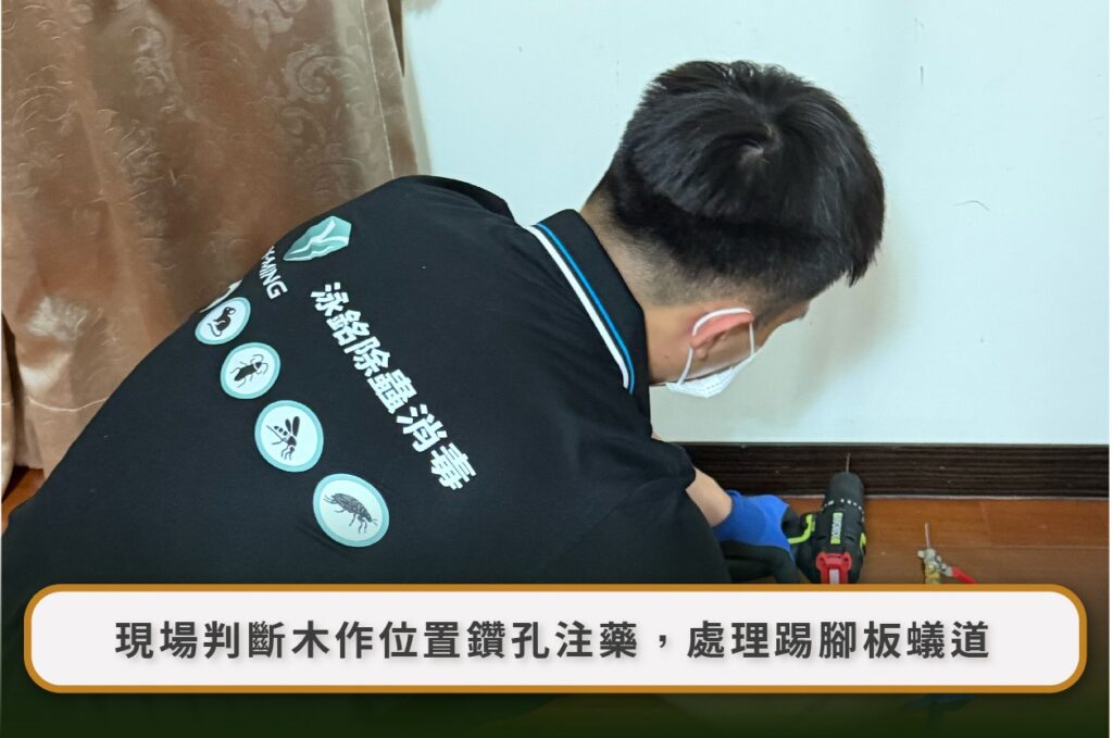 白蟻防治後還看到飛蟻正常嗎?1–3 週觀察、藥劑回傳、蟻道佈點與復發判斷 3 Image 6