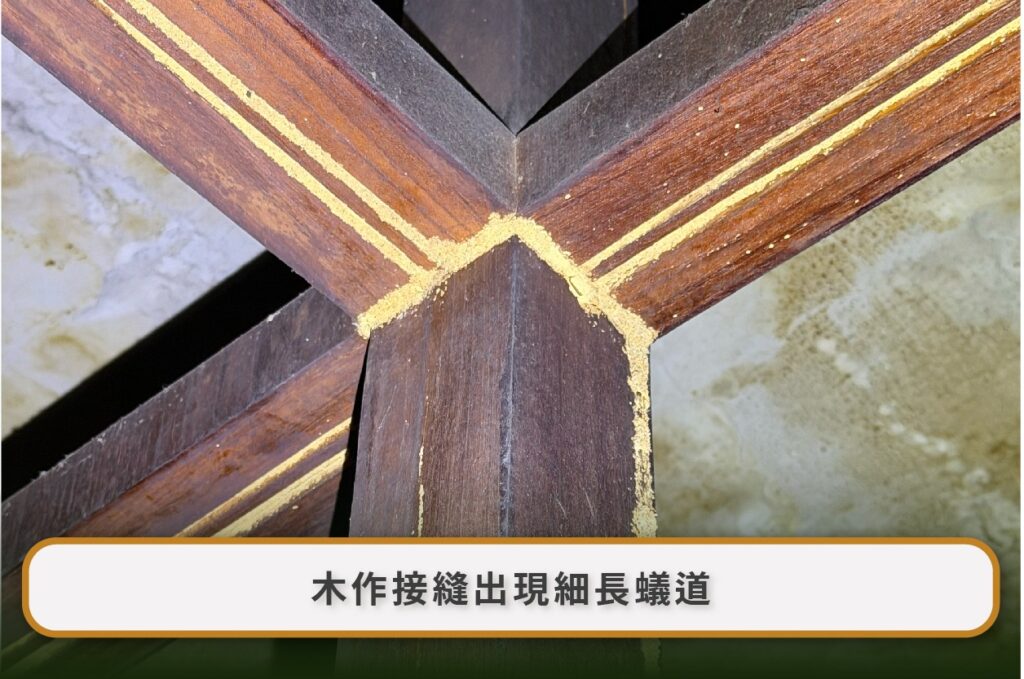 白蟻防治後還看到飛蟻正常嗎?1–3 週觀察、藥劑回傳、蟻道佈點與復發判斷 5 Image 8