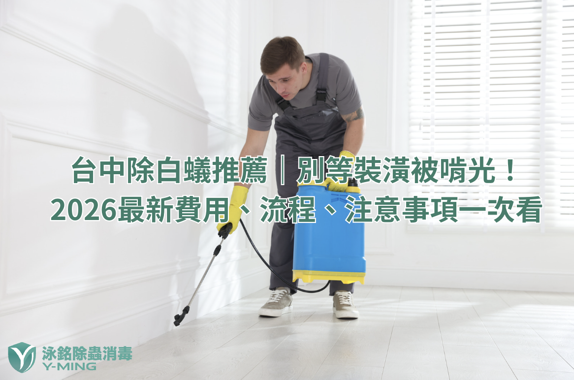 台中除白蟻推薦｜別等裝潢被啃光！2026最新費用、流程、注意事項一次看