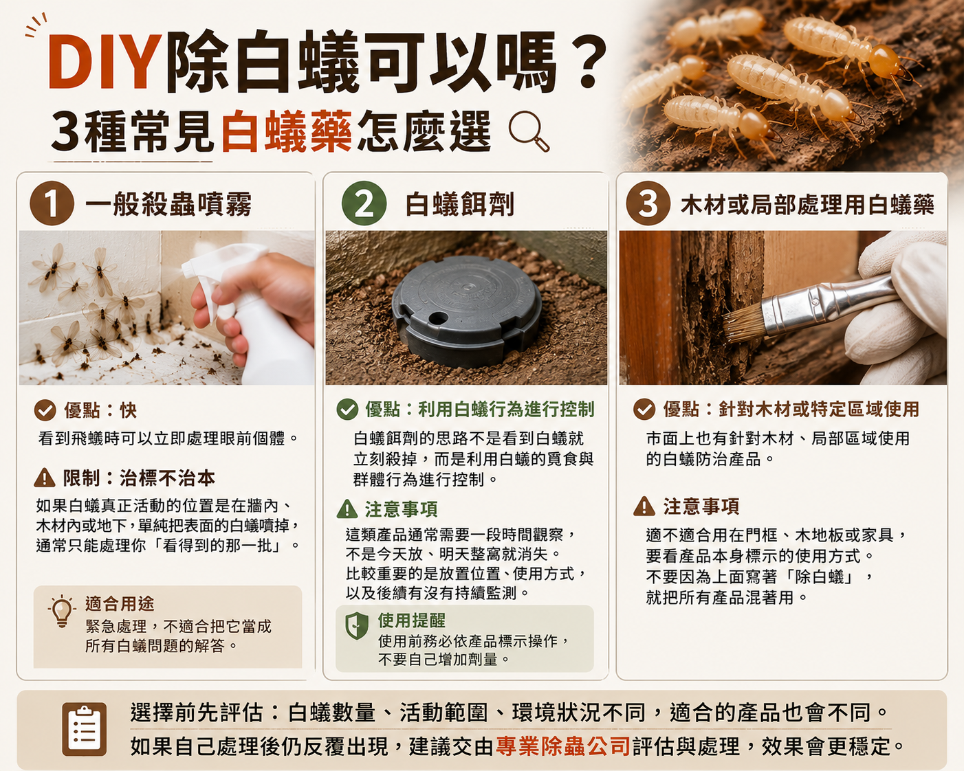 家裡有白蟻怎麼辦?5步驟徹底處理+Diy除白蟻與預防方法 2 Diy除白蟻可以嗎?3種常見白蟻藥怎麼選
