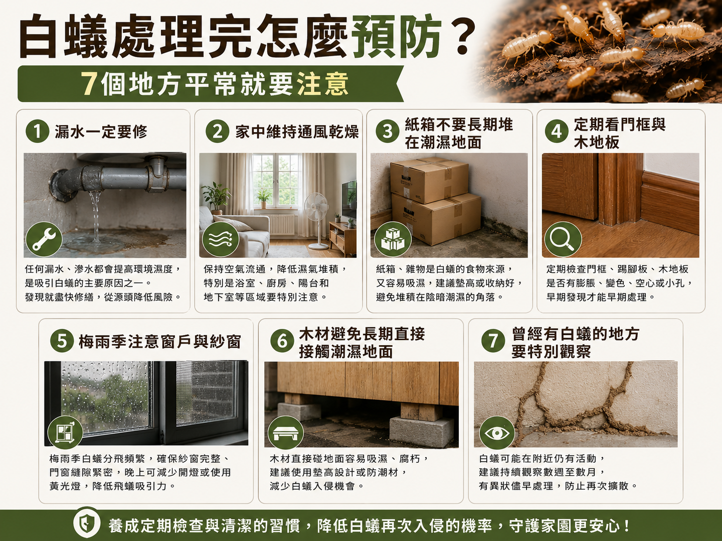 家裡有白蟻怎麼辦?5步驟徹底處理+Diy除白蟻與預防方法 3 白蟻處理完怎麼預防?7個地方平常就要注意
