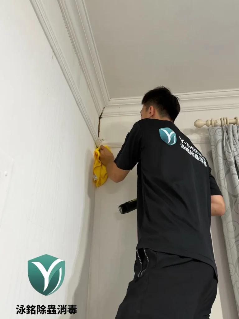 原本有白蟻,以為拆掉裝潢就沒事?重新裝潢後白蟻再次出 現|泳銘除蟲消毒專業防治案例 13 除白蟻清除白蟻蟻道