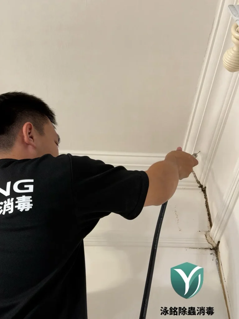 原本有白蟻,以為拆掉裝潢就沒事?重新裝潢後白蟻再次出 現|泳銘除蟲消毒專業防治案例 12 白蟻防治裝潢灌注