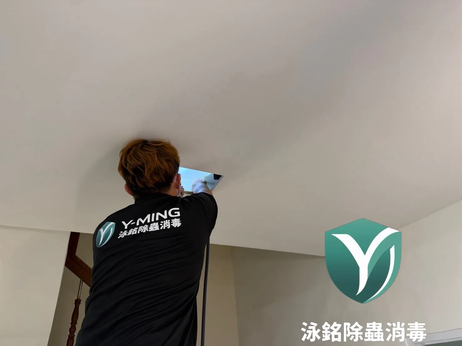 天花板除白蟻