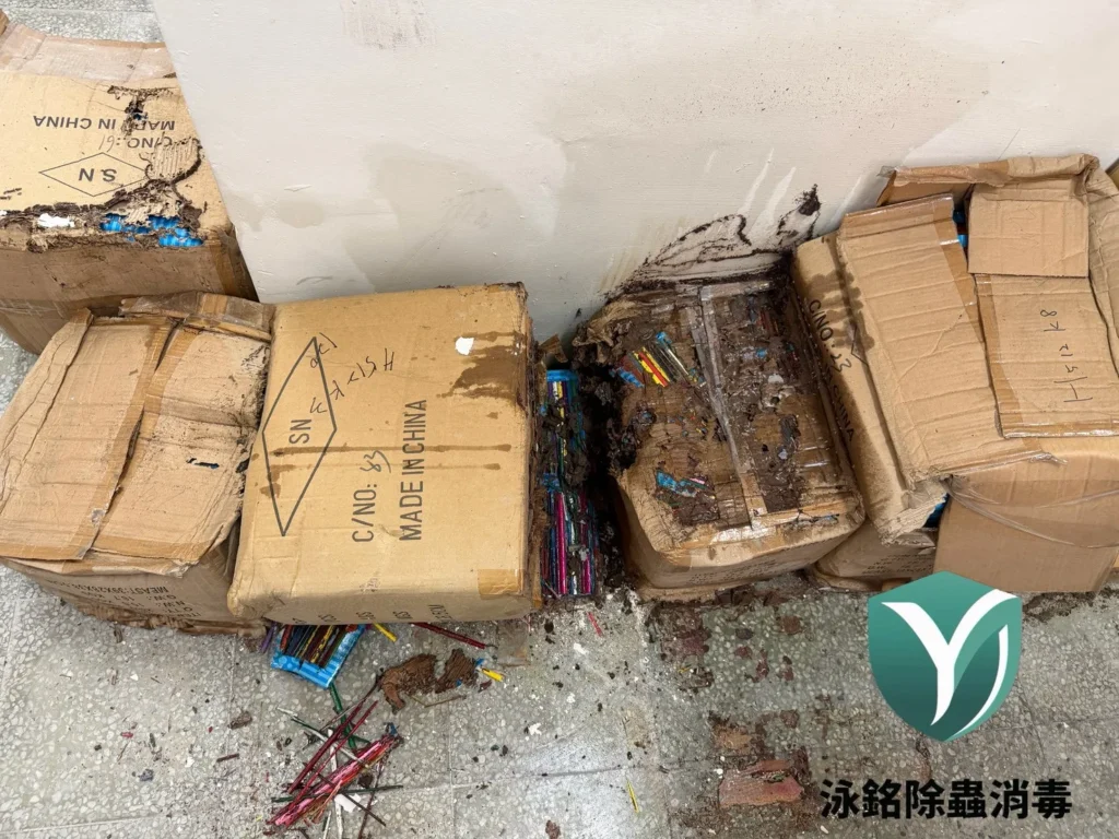 現場白蟻防治案例|白蟻早已遍布木作,拖延處理讓災情更加嚴重 14 紙箱被白蟻侵蝕