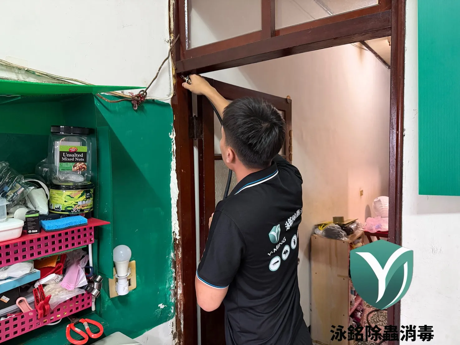 除白蟻門框防治白蟻