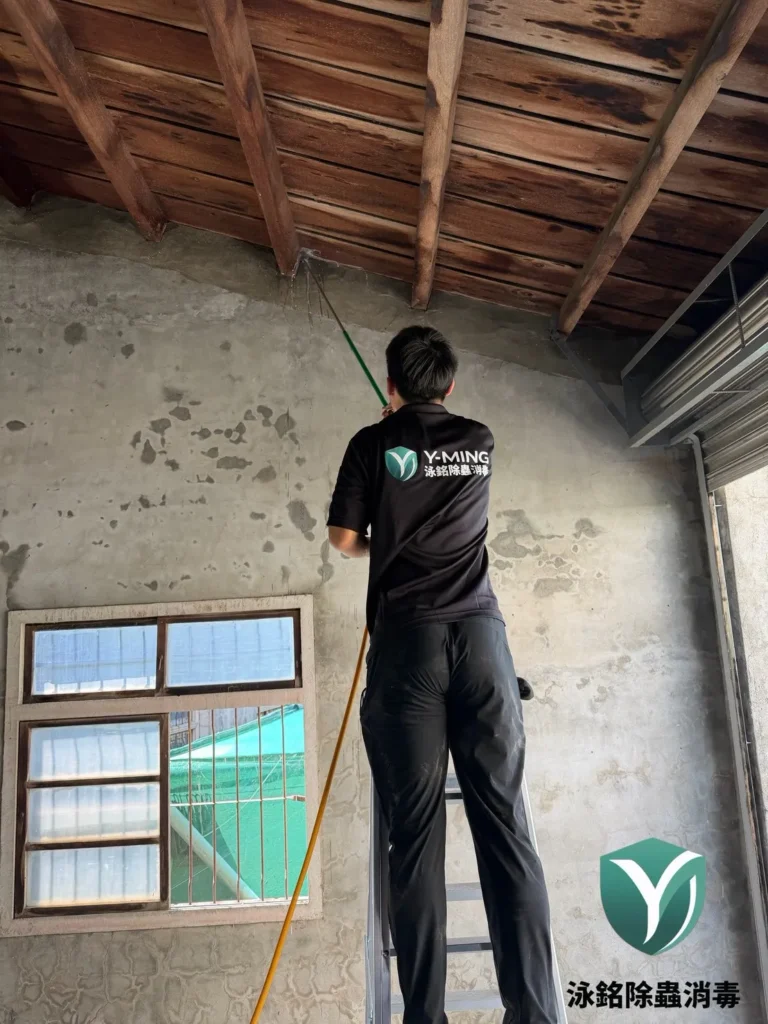 雞舍白蟻防治案例|多年反覆噴藥無效,白蟻持續危害雞舍結構 15 除白蟻隙縫處理