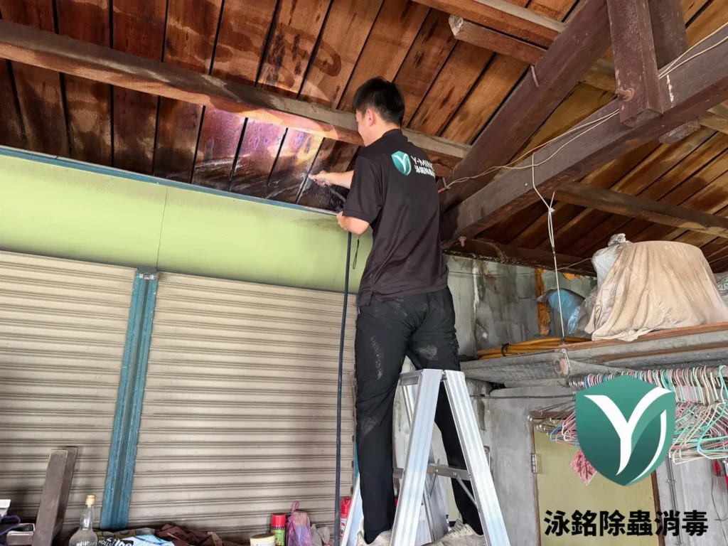 雞舍白蟻防治案例|多年反覆噴藥無效,白蟻持續危害雞舍結構 13 白蟻防治