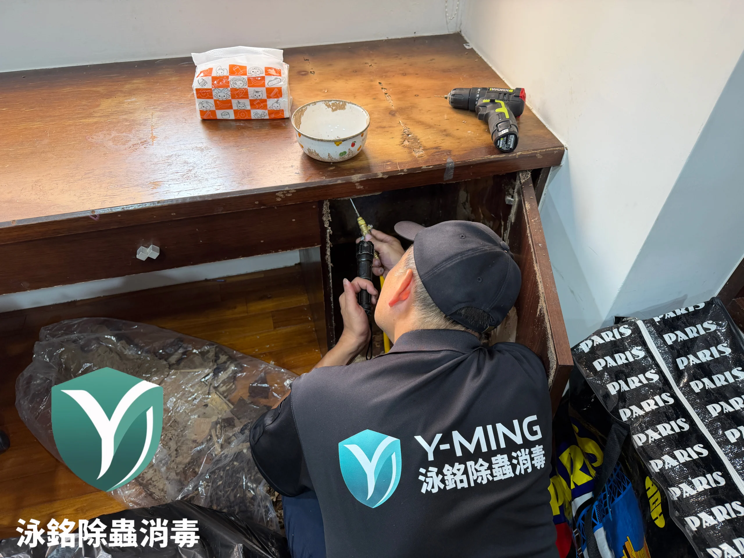 泳銘除白蟻專業進行工作