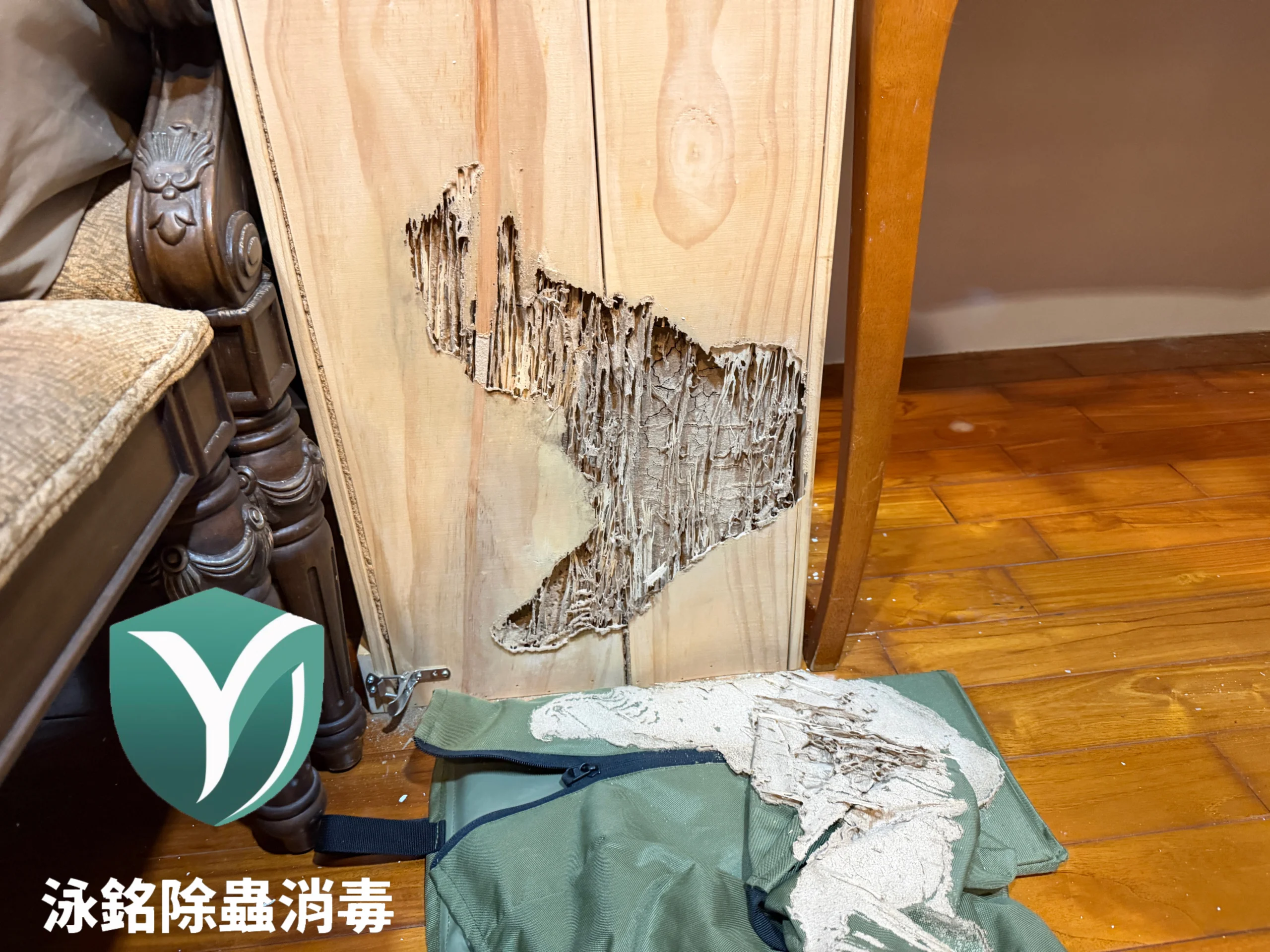 除白蟻事前工作