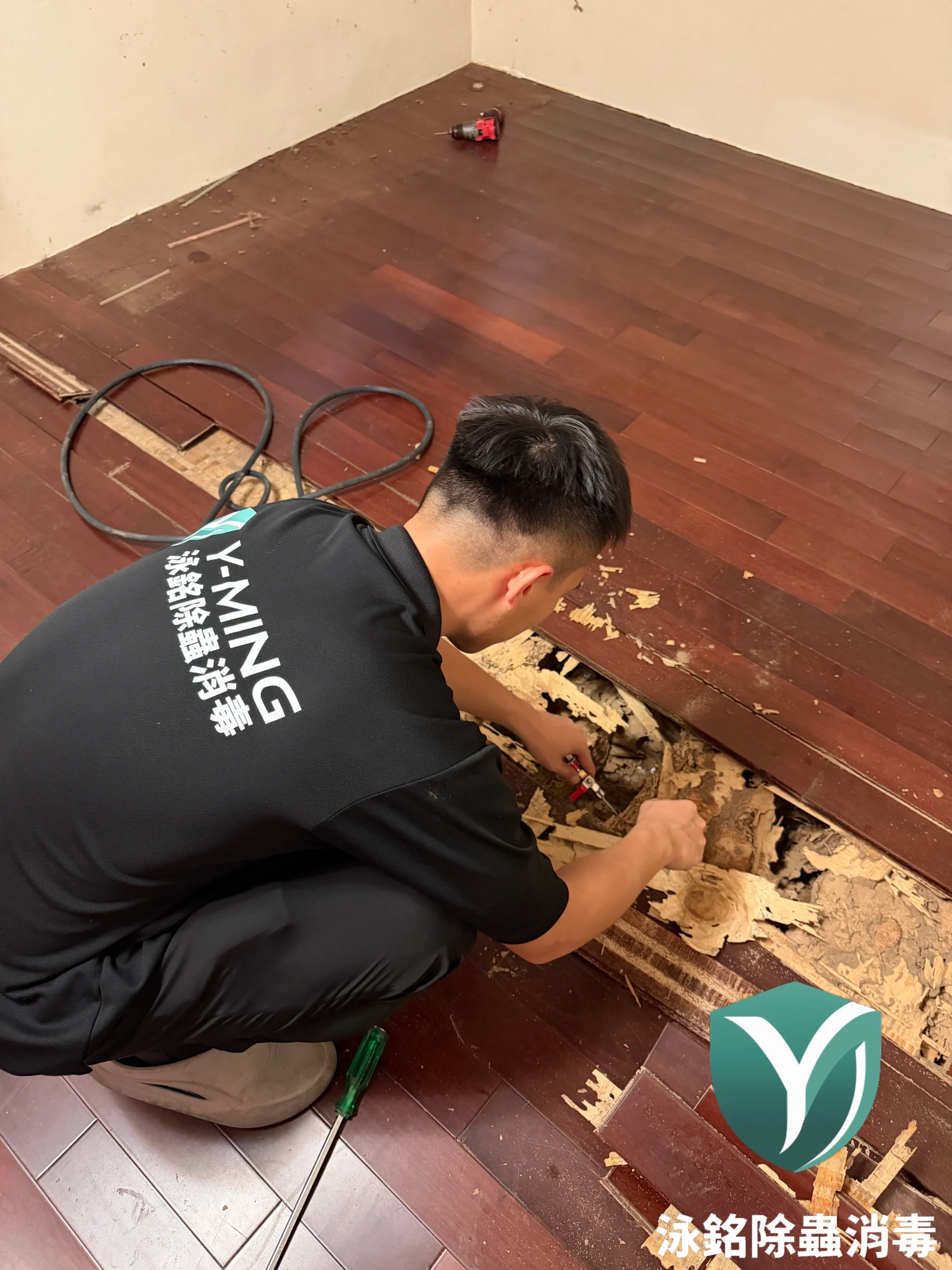 泳銘除白蟻Ppt案例