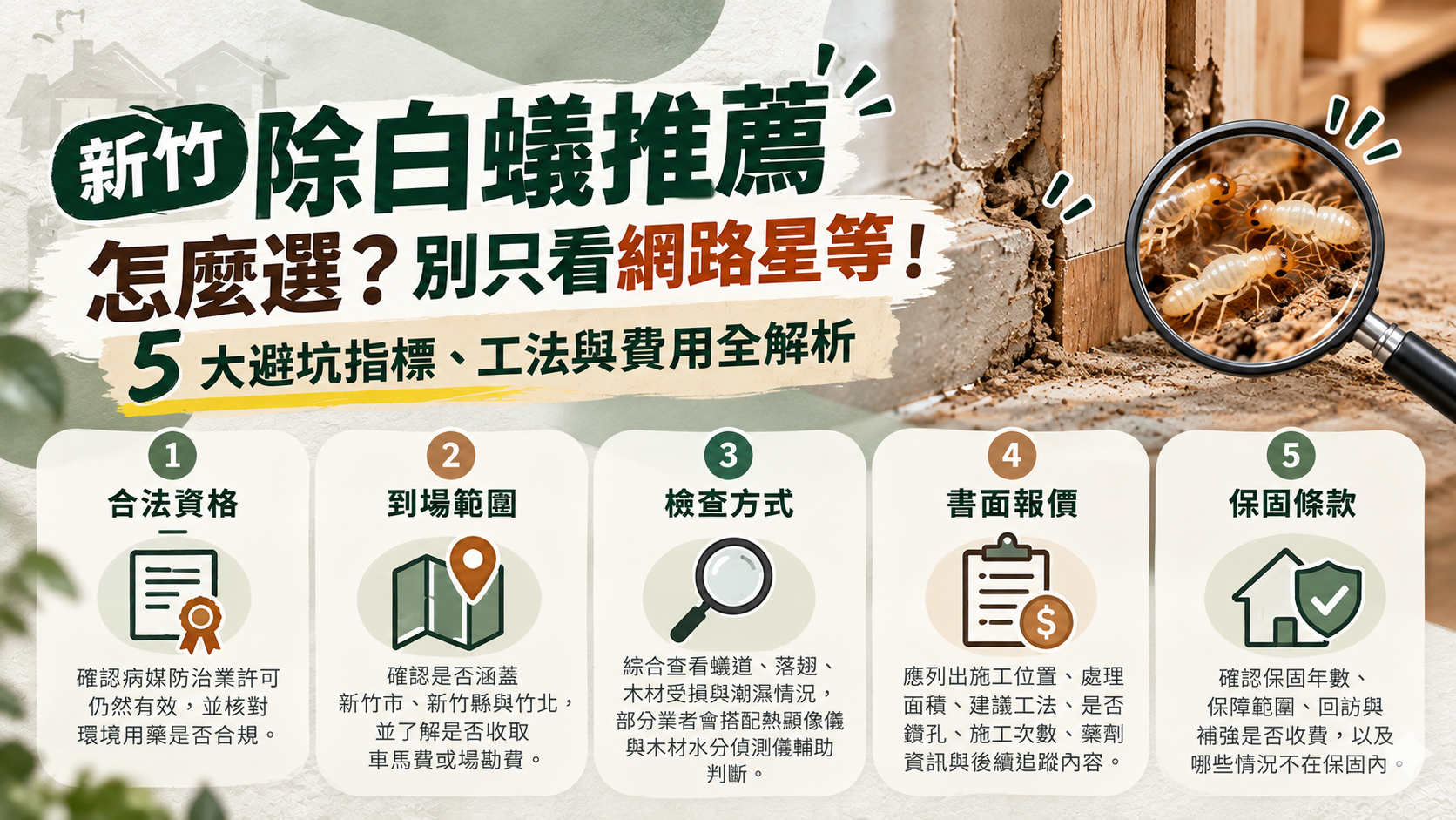 新竹除白蟻推薦怎麼選?別只看網路星等!5 大避坑指標、工法與費用全解析 新竹除白蟻推薦怎麼選?別只看網路星等!5 大避坑指標、工法與費用全解析